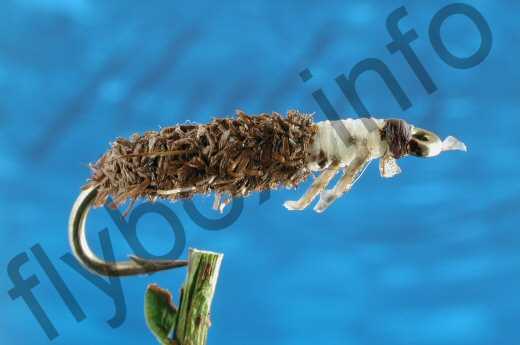 cased caddis flies